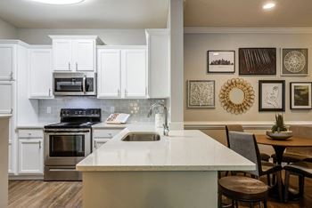 Stainless steel appliances and quartz countertops